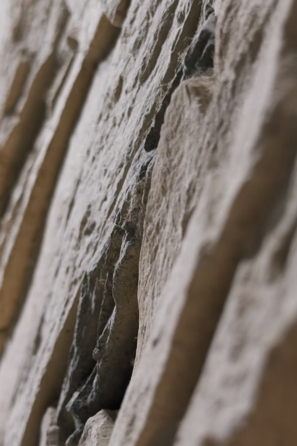 Close-up of textured stone surface